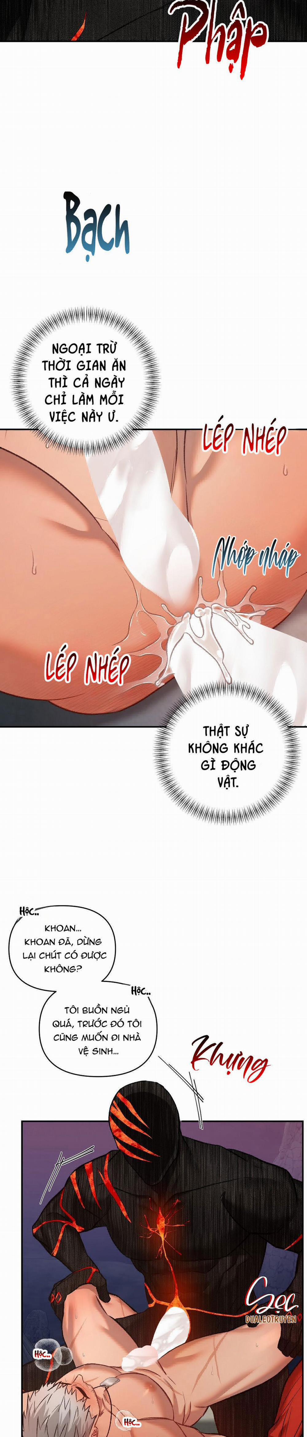 BIỂN ĐỎ 4 trang 2