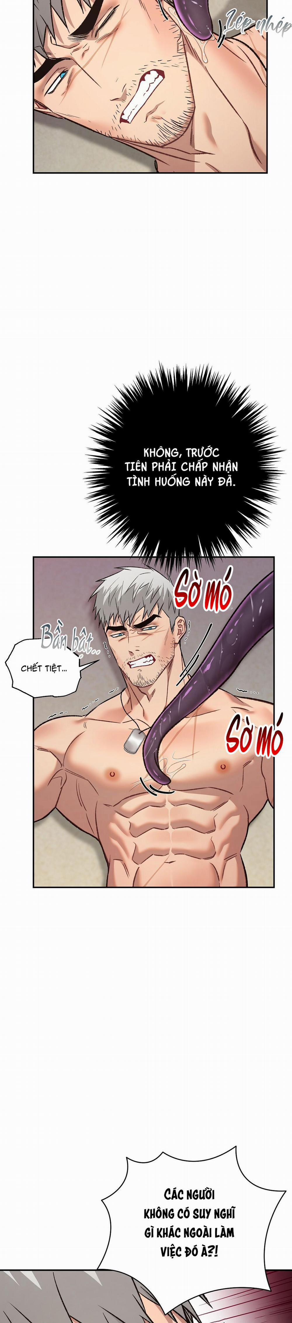 BIỂN ĐỎ 6 trang 14