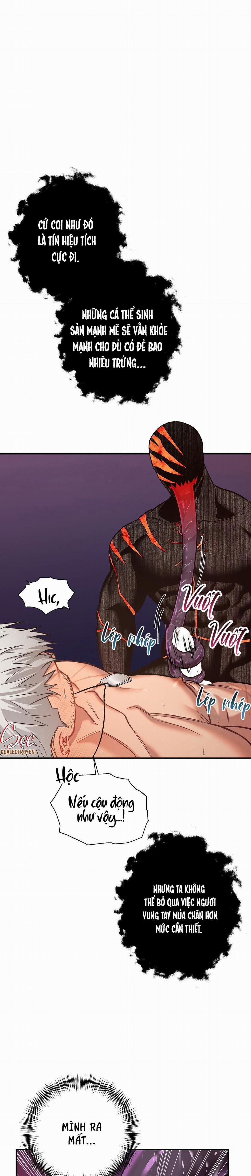 BIỂN ĐỎ 6 trang 17