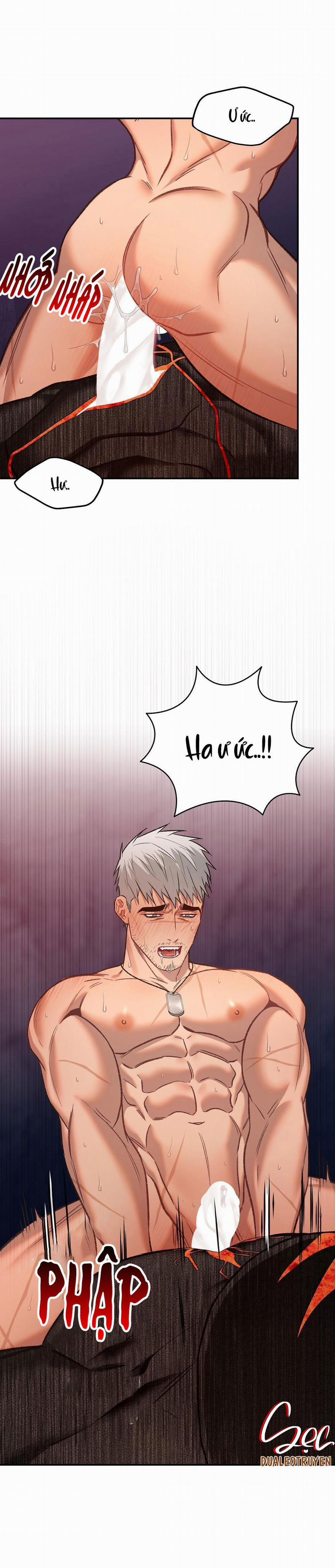 BIỂN ĐỎ 6 trang 36