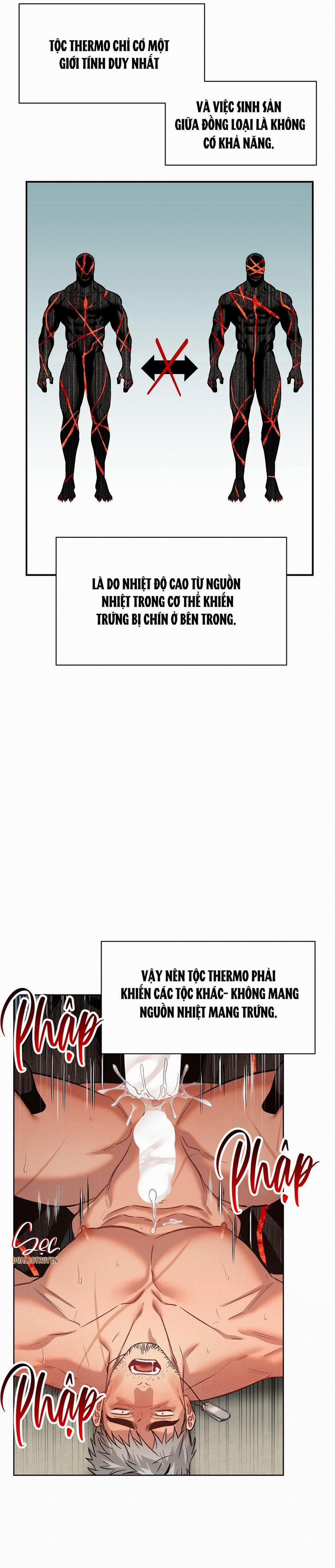 BIỂN ĐỎ 6 trang 3