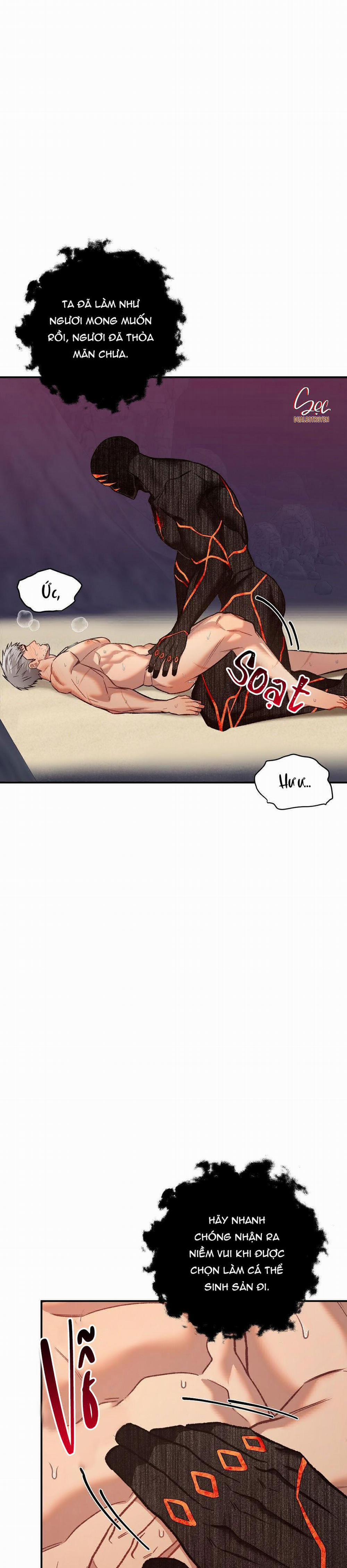 BIỂN ĐỎ 7 trang 13