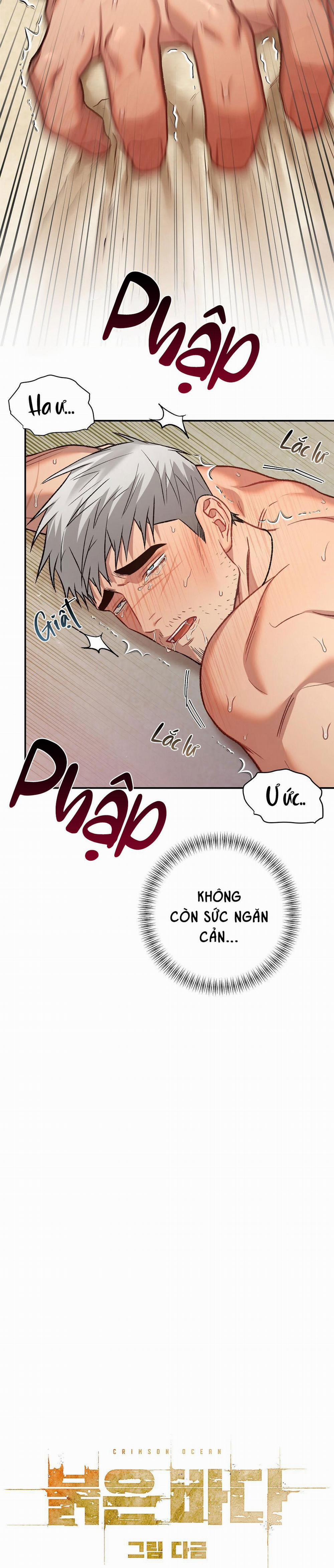 BIỂN ĐỎ 7 trang 18