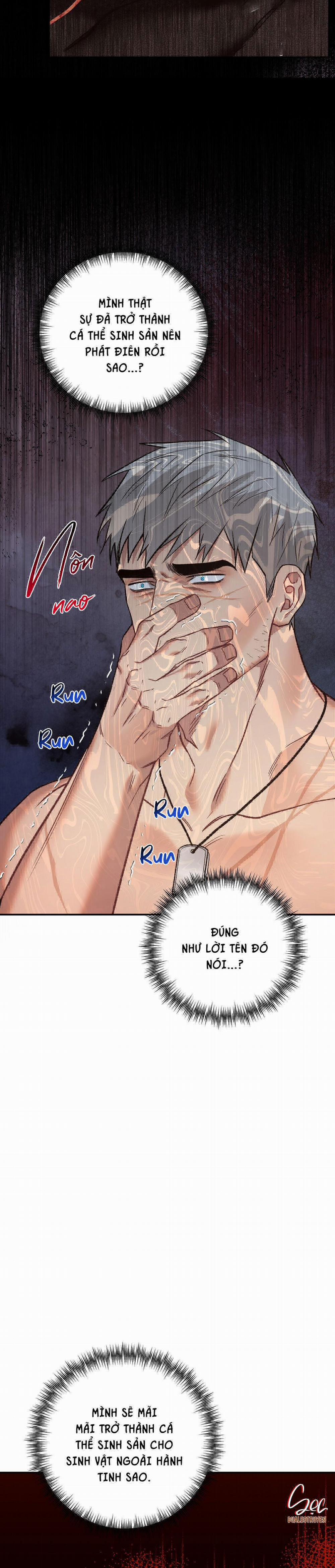 BIỂN ĐỎ 7 trang 28