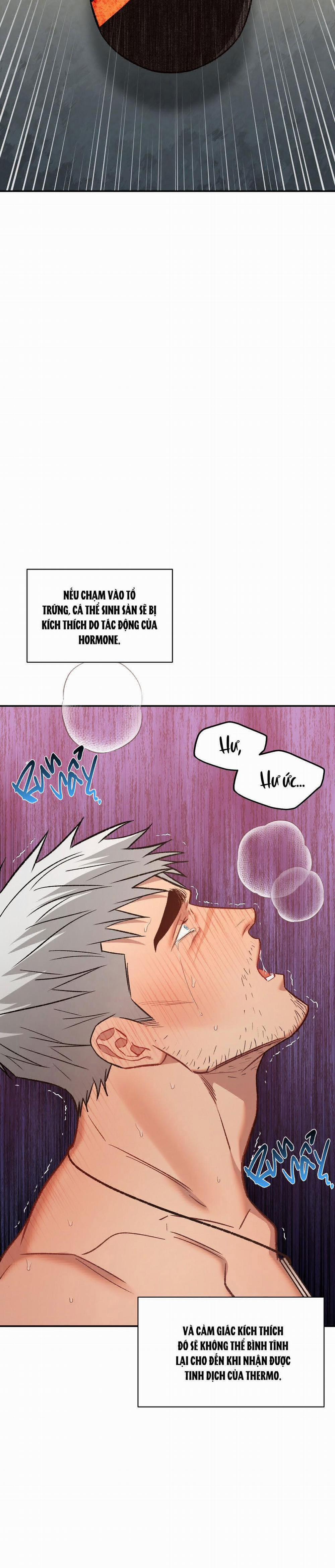 BIỂN ĐỎ 7 trang 2