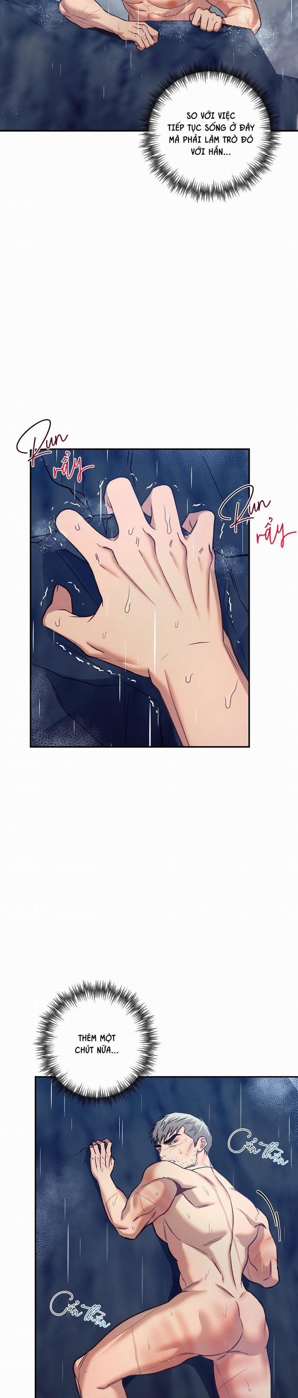 BIỂN ĐỎ 7 trang 38