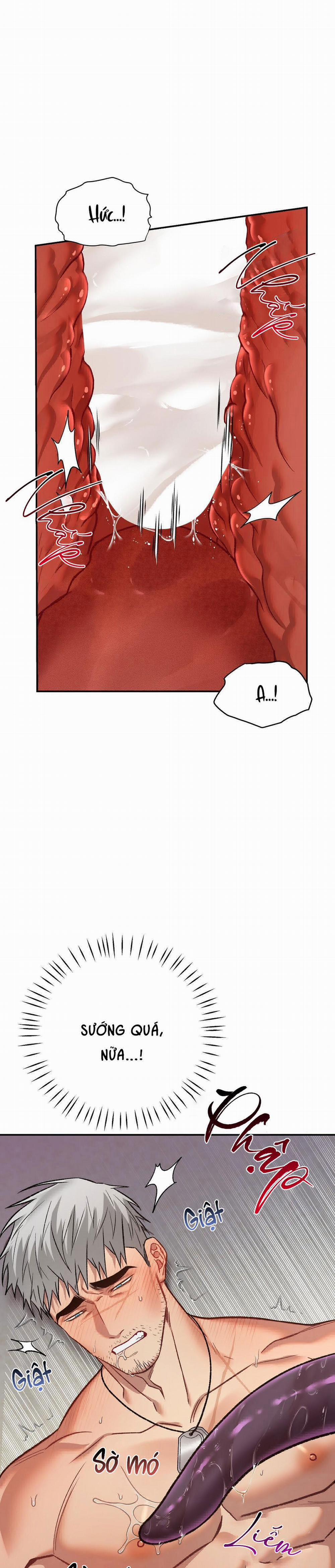 BIỂN ĐỎ 7 trang 8