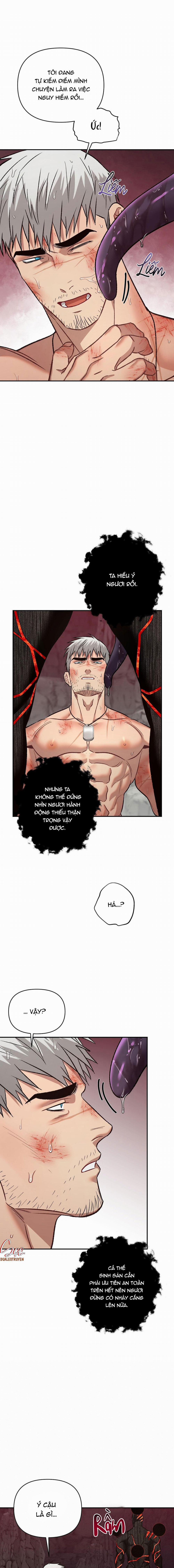 BIỂN ĐỎ 8 trang 11