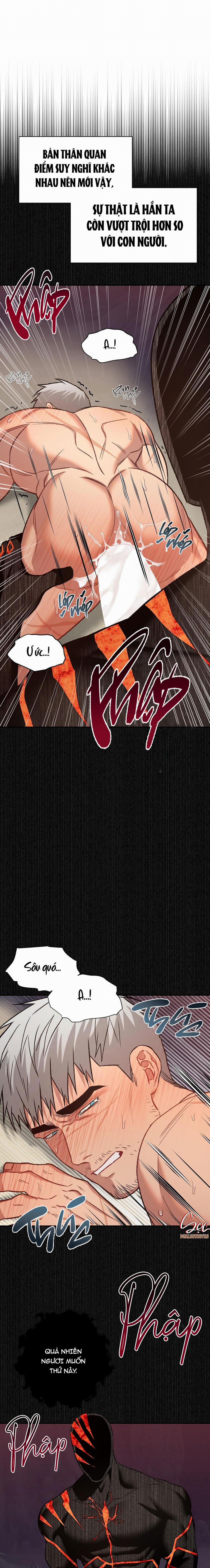 BIỂN ĐỎ 8 trang 17