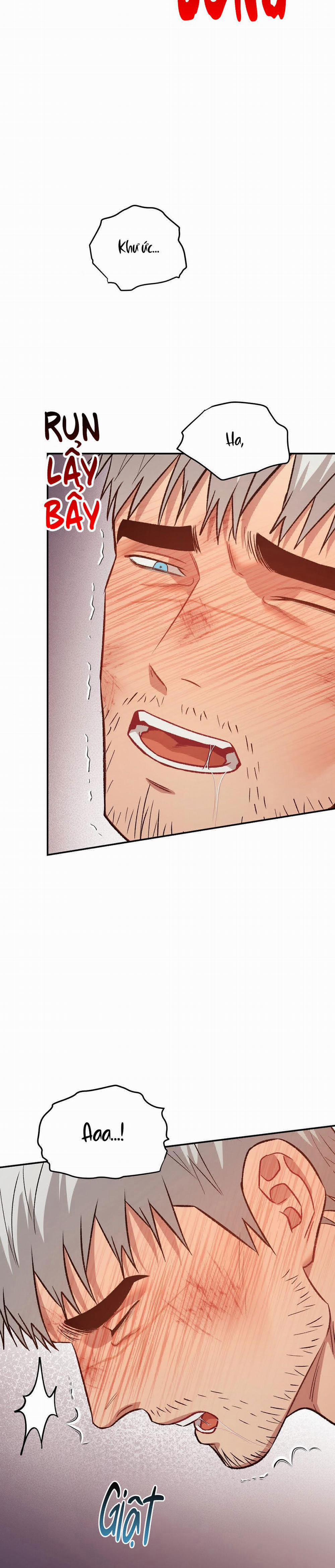 BIỂN ĐỎ 9 trang 38