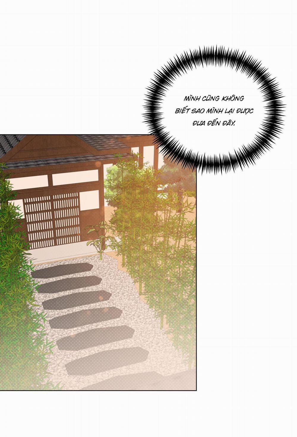 BÌNH MINH CHIA CẮT BÓNG ĐÊM 46 trang 17