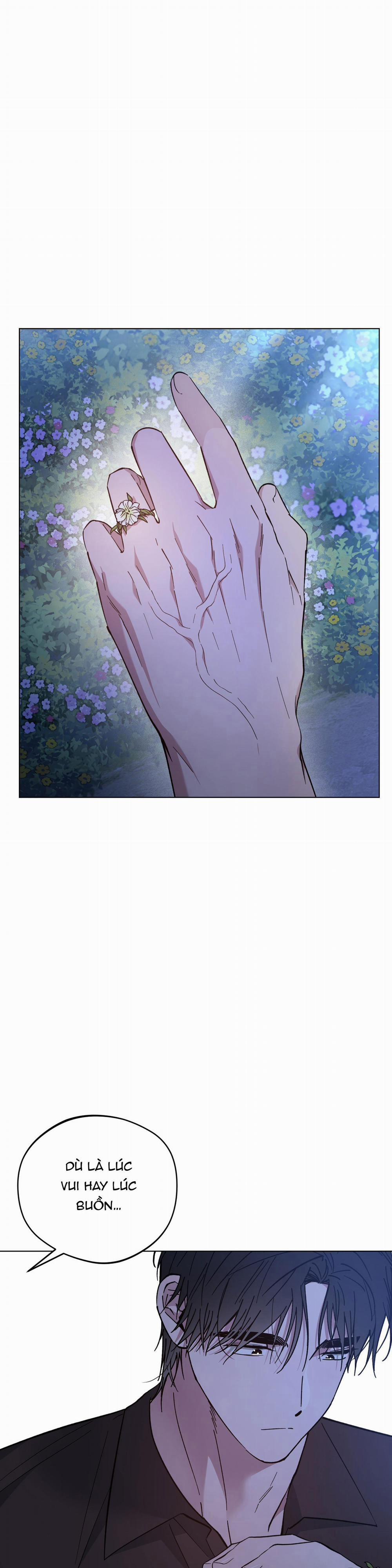 Bình Minh Của Rồng 72 trang 23