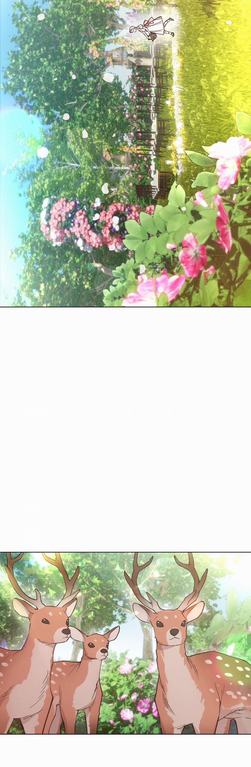 Bình Minh Của Rồng 73 trang 5