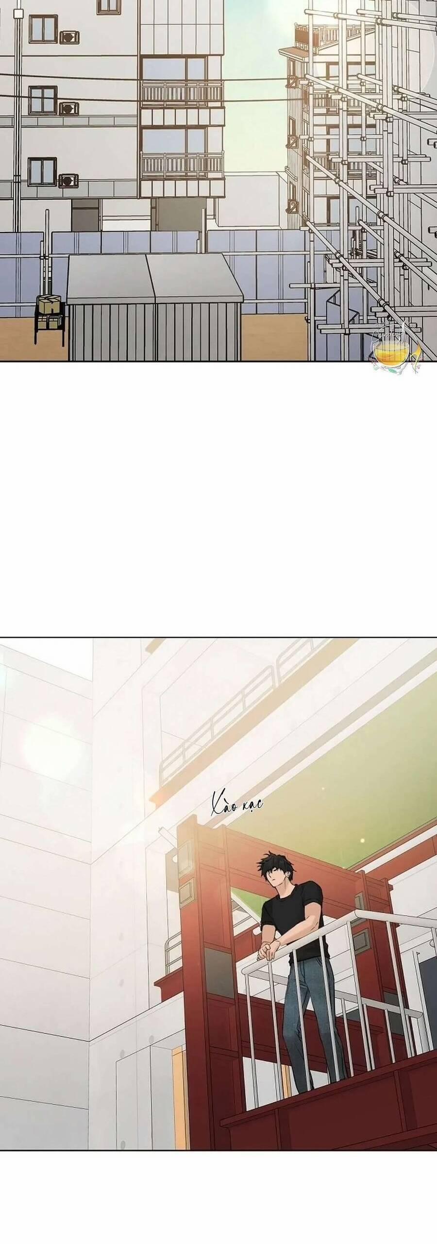 Bình Minh 37 trang 3