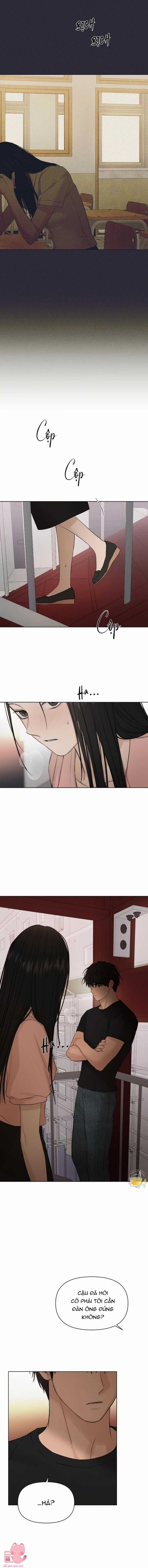 Bình Minh 38 trang 17