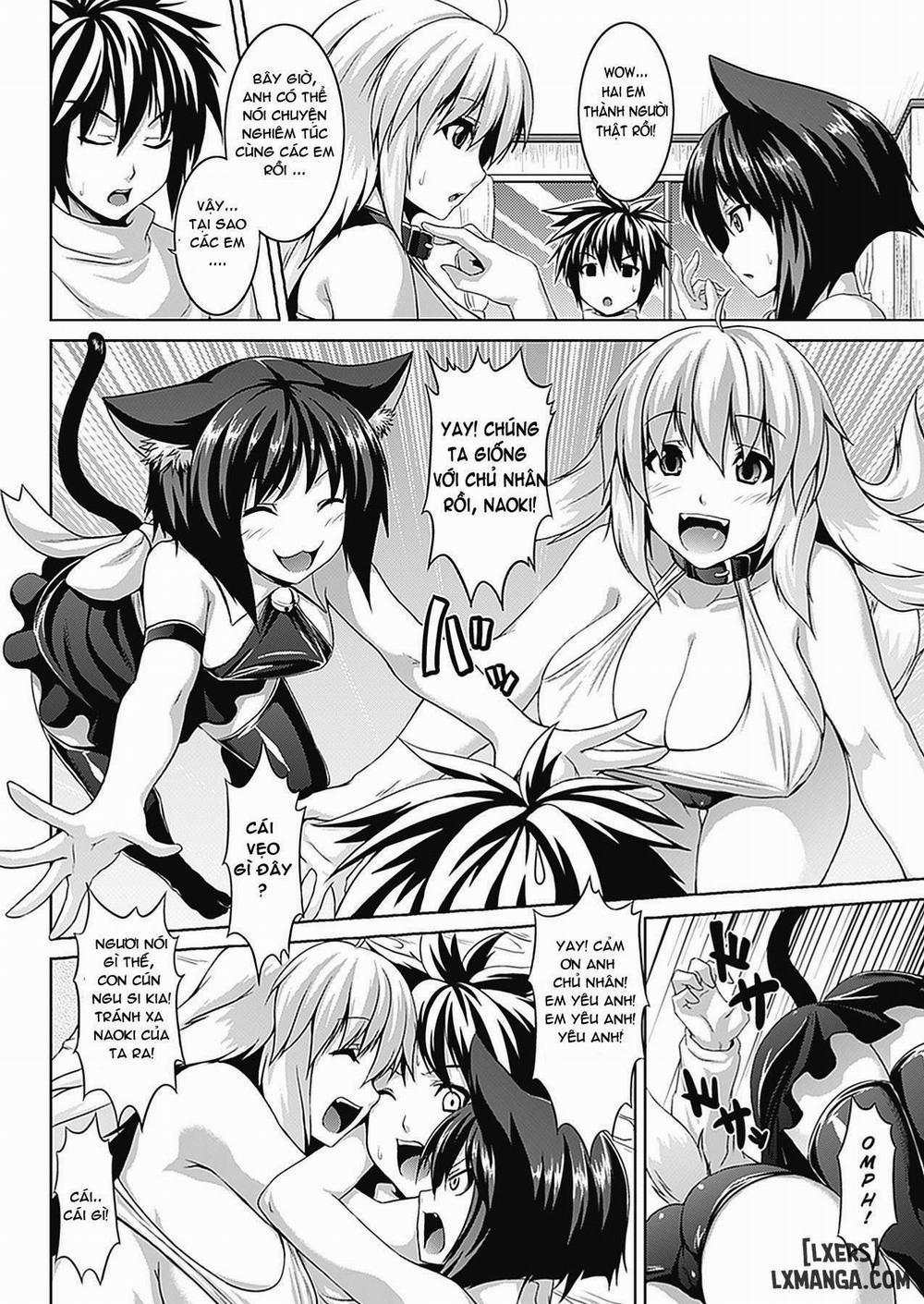 Bitch Harem 2 trang 1