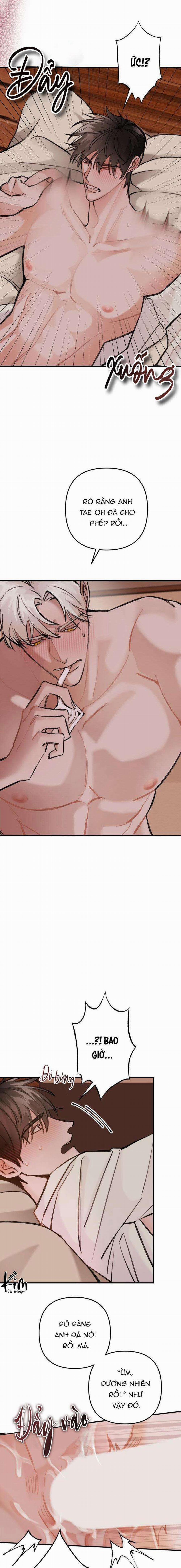 BL NGẮN CHỊCH HỎNY 0.0 SPOT LANDING 2 trang 3