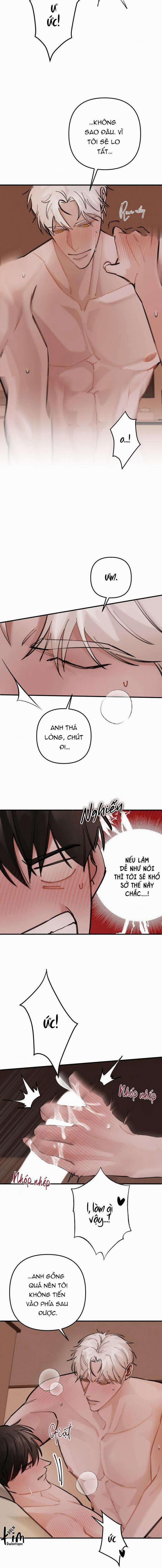 BL NGẮN CHỊCH HỎNY 0.0 SPOT LANDING 2 trang 4