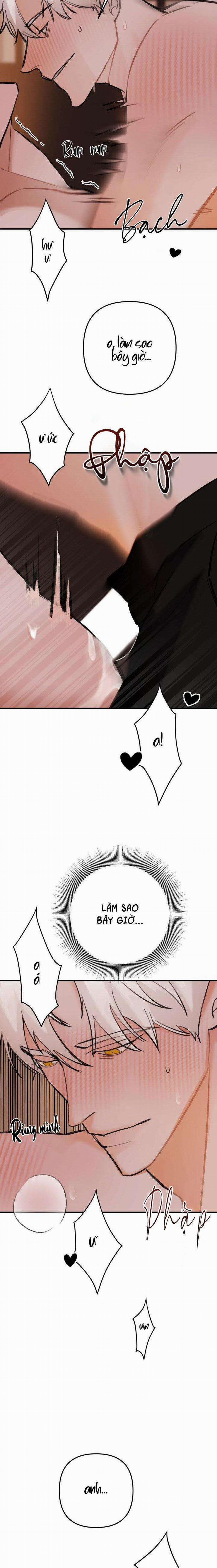 BL NGẮN CHỊCH HỎNY 0.0 SPOT LANDING 2 trang 6