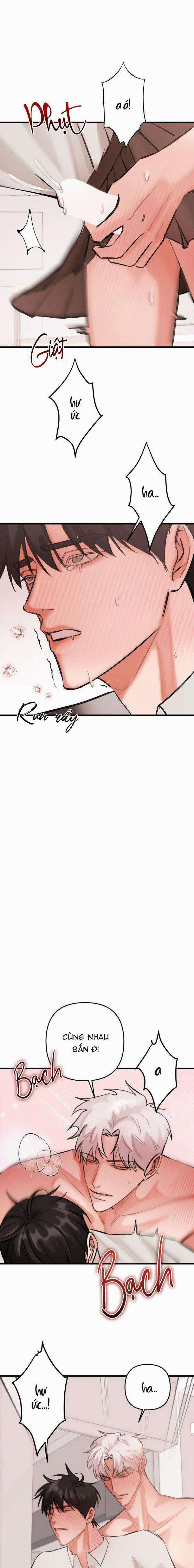 BL NGẮN CHỊCH HỎNY 0.0 SPOT LANDING END trang 16