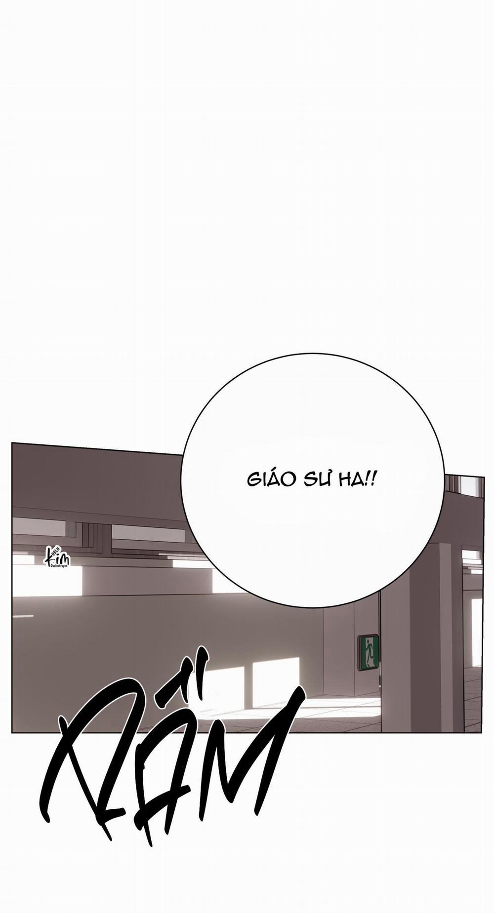 Bl Ngắn Tuyển Chọn 31.5 adonis 5 trang 0