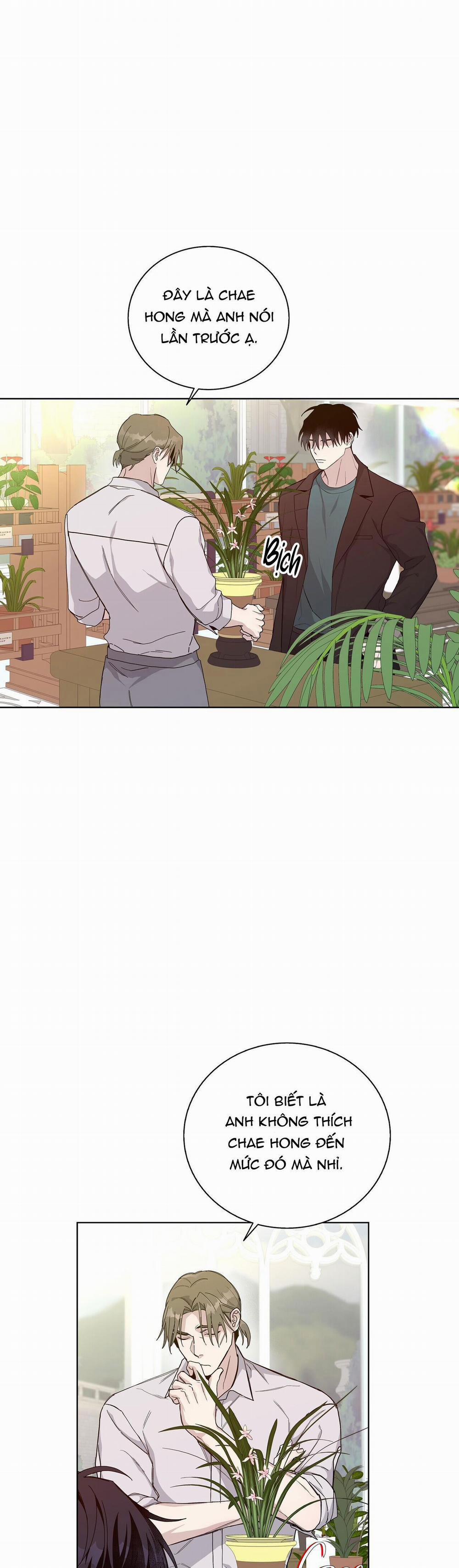 BLAZE OUT 24 trang 0