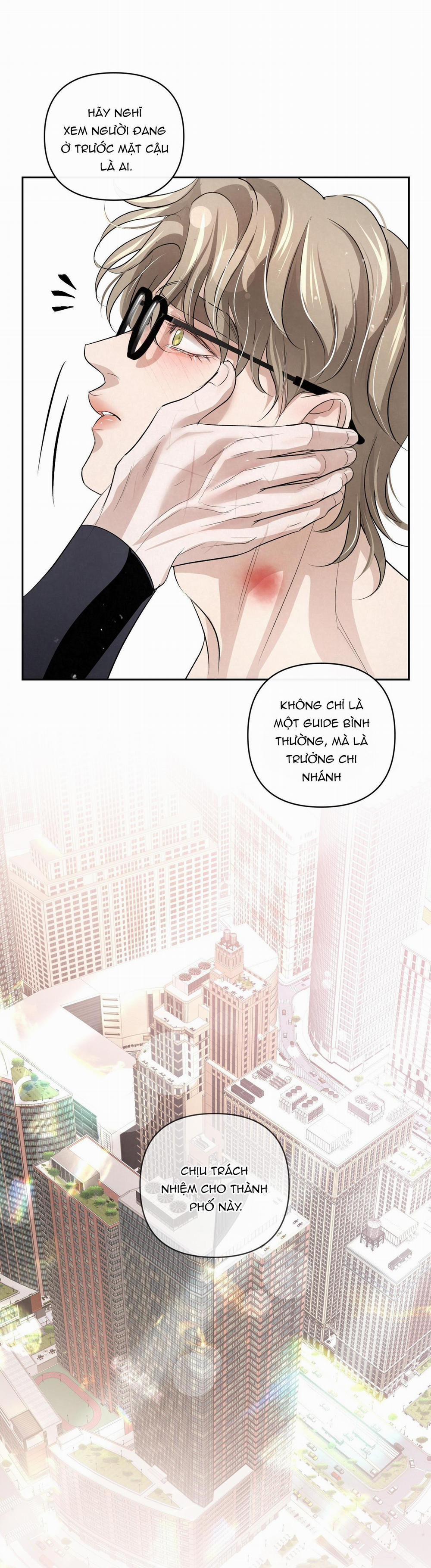 Blood Guide 24 trang 5