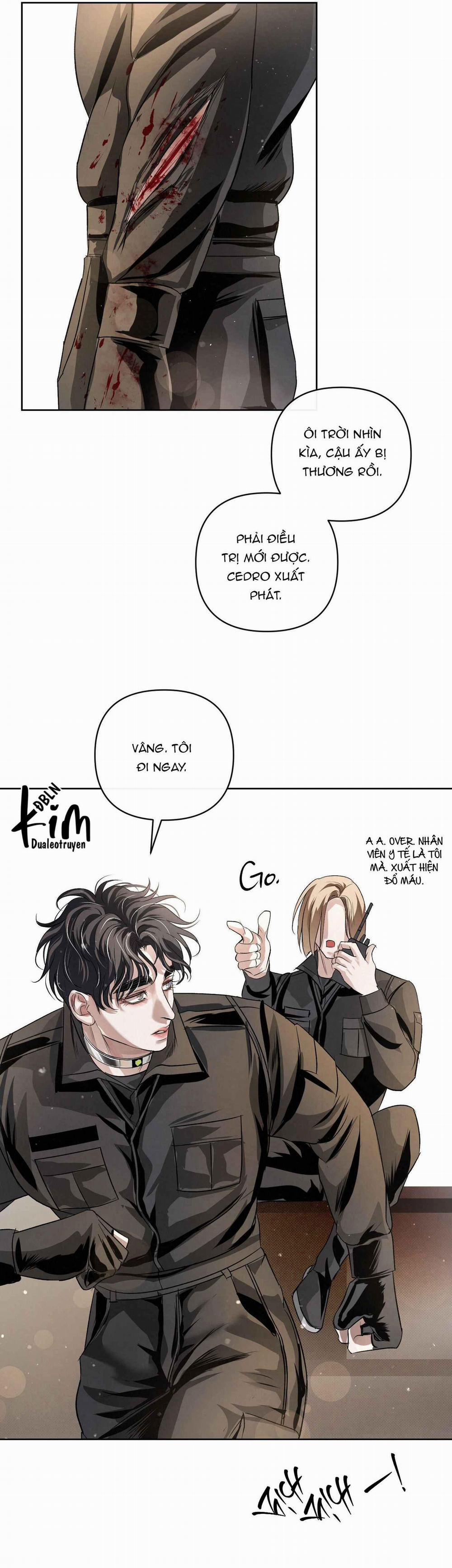 Blood Guide 40 trang 19