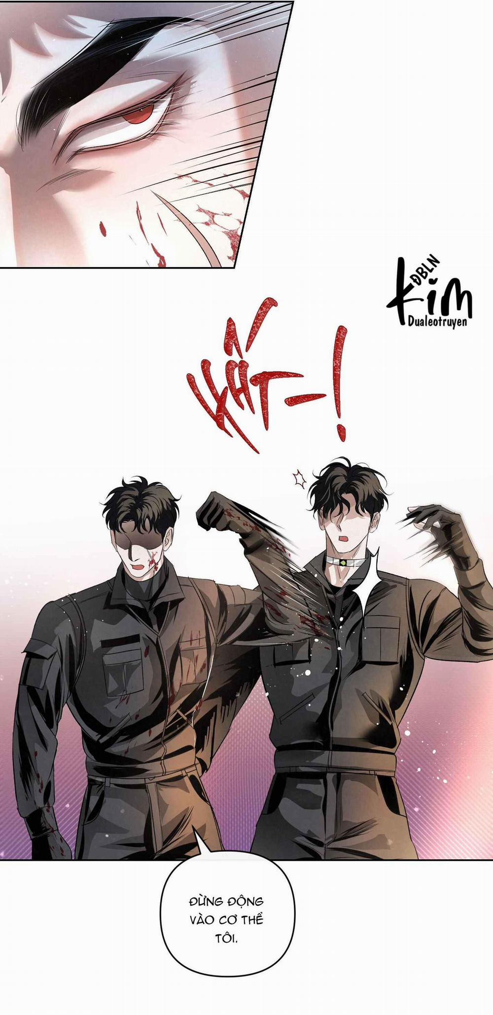 Blood Guide 40 trang 21