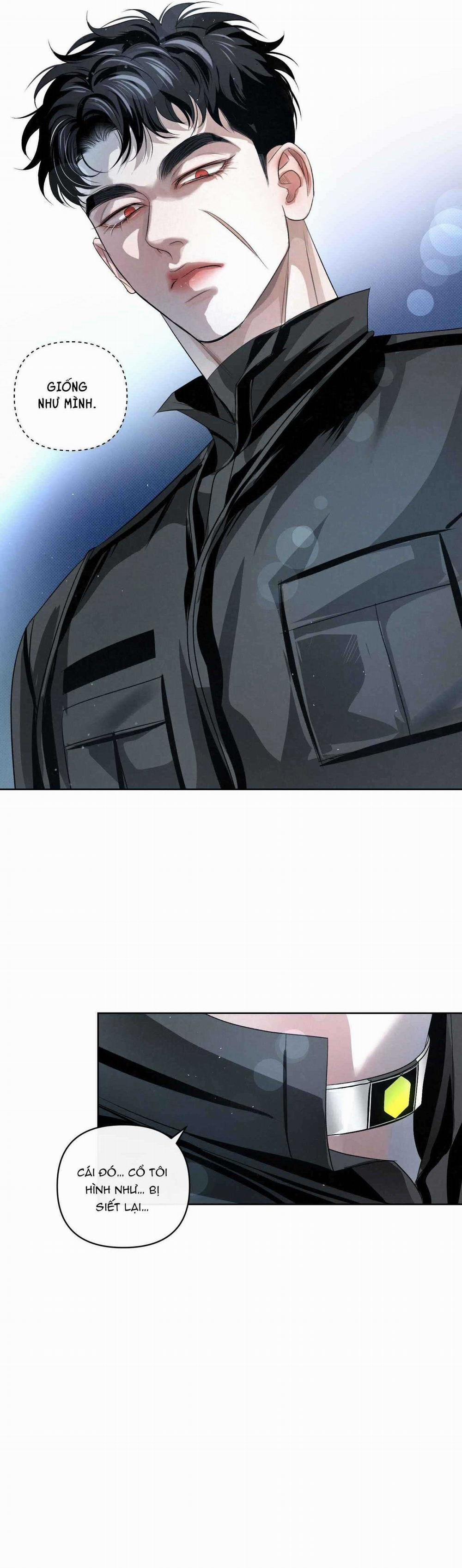 Blood Guide 41 trang 14