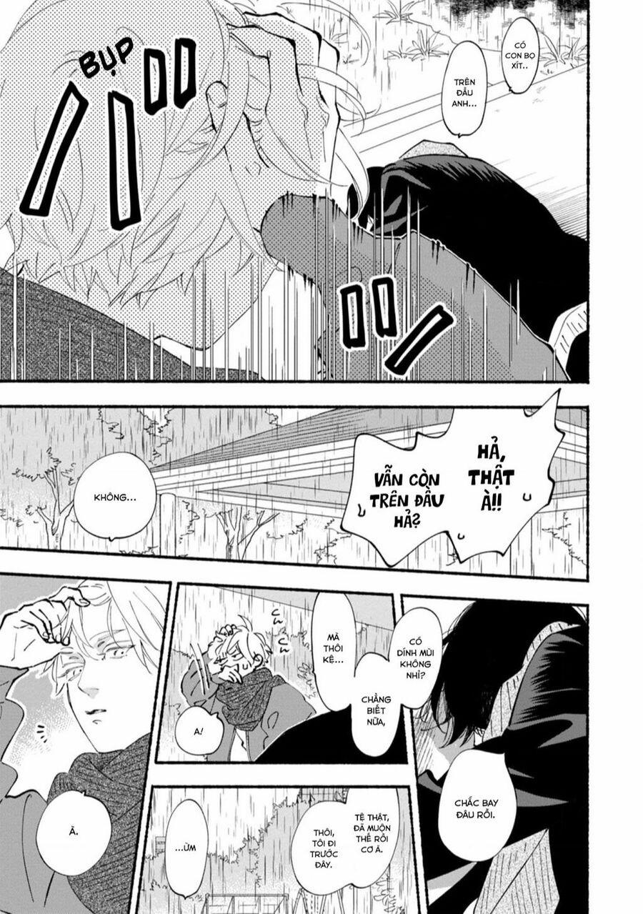 Blue Sky Complex 42 trang 12