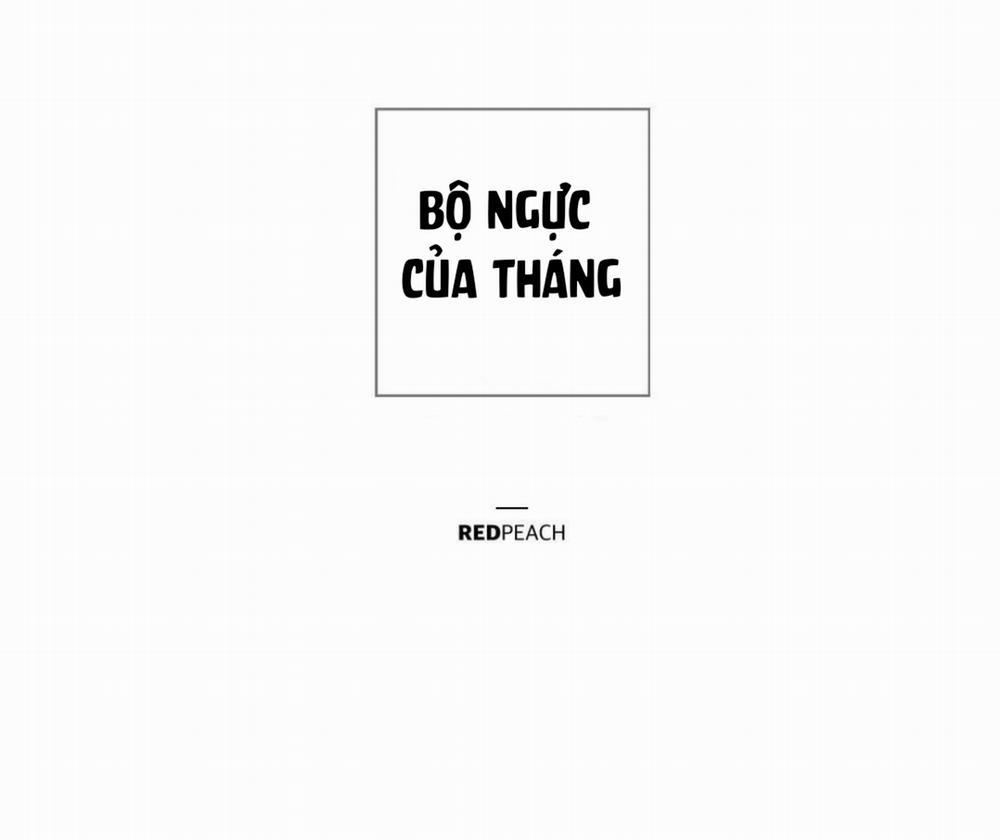 Bộ Ngực Của Tháng 13 trang 17