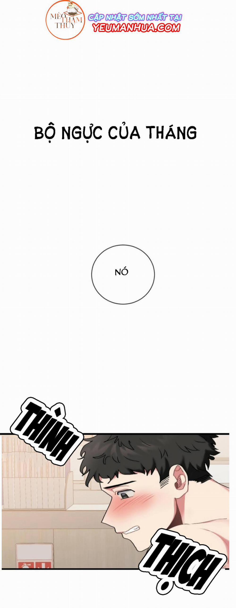 Bộ Ngực Của Tháng 2 trang 0