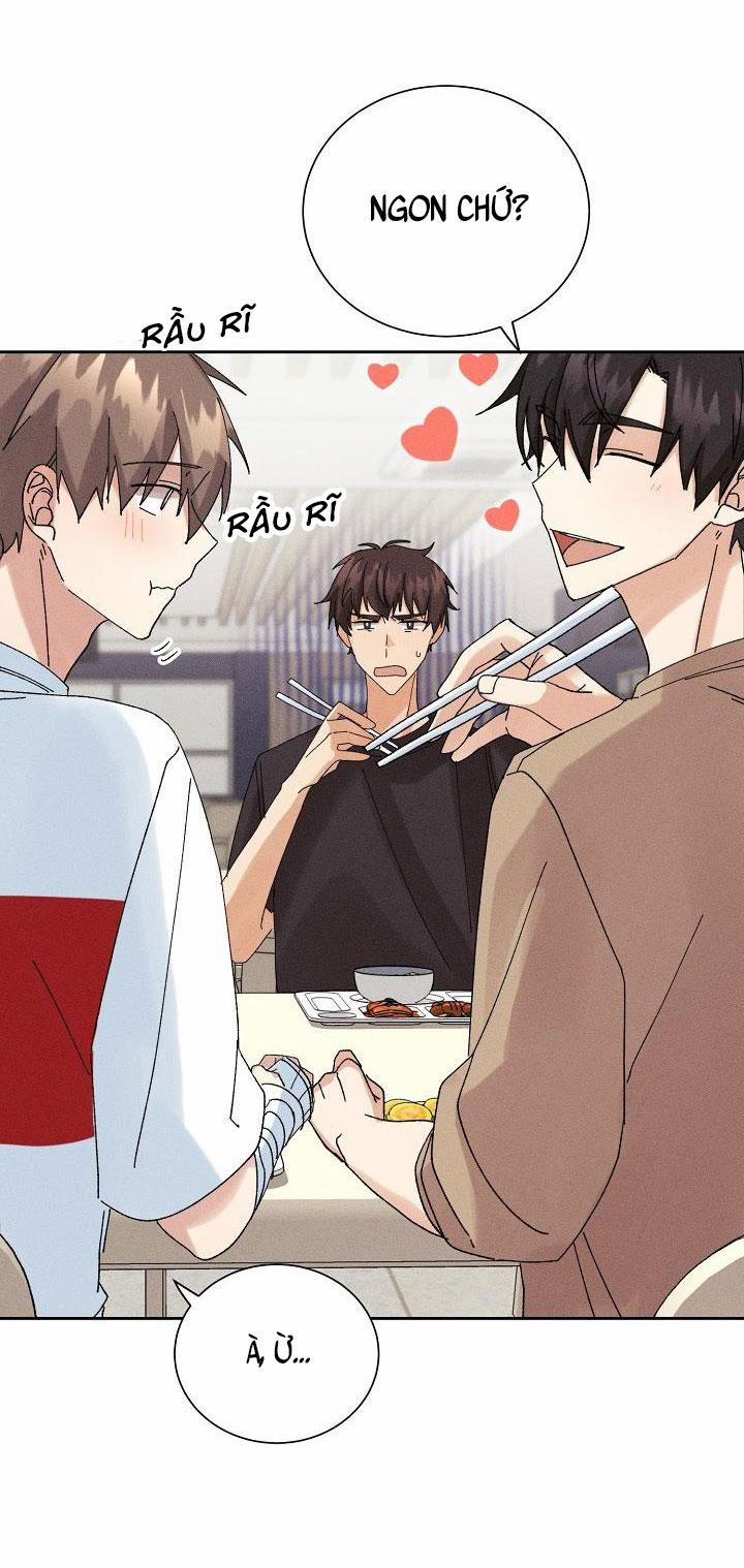 BỘ NHỚ GIẢ DƯỢC 13 trang 12