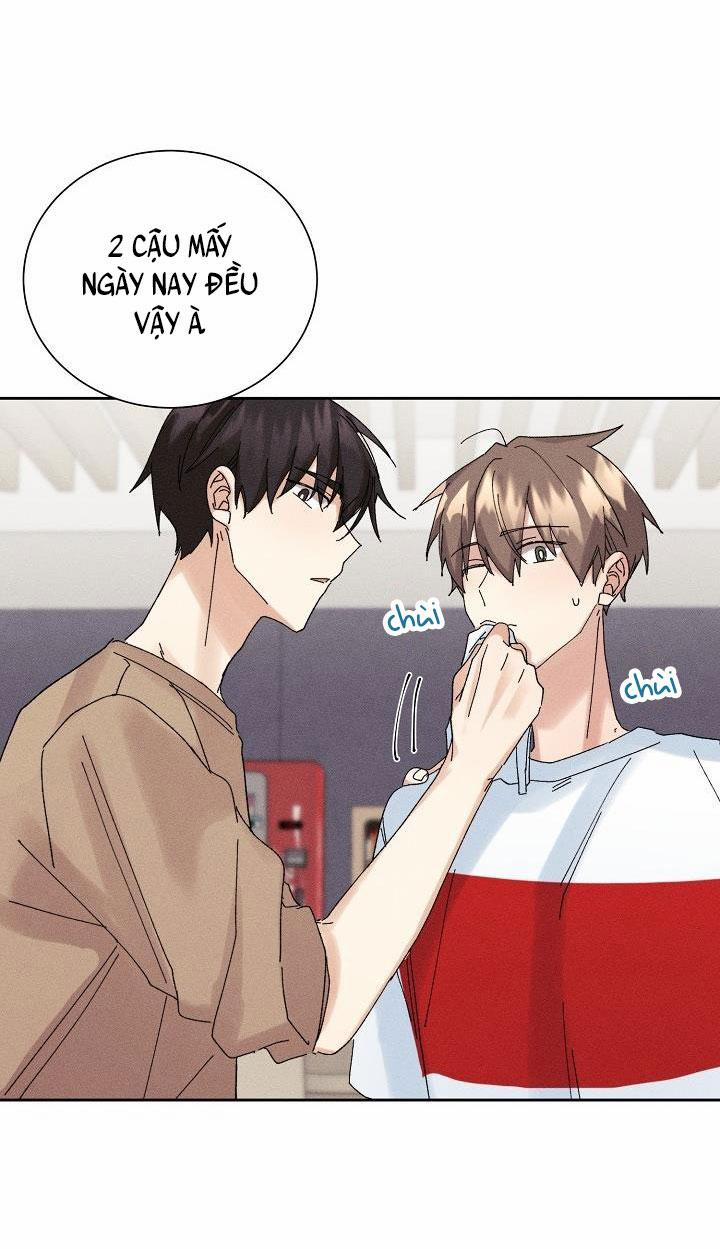 BỘ NHỚ GIẢ DƯỢC 13 trang 14