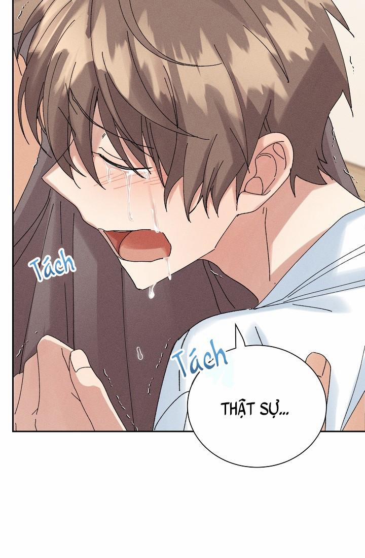 BỘ NHỚ GIẢ DƯỢC 15 trang 52