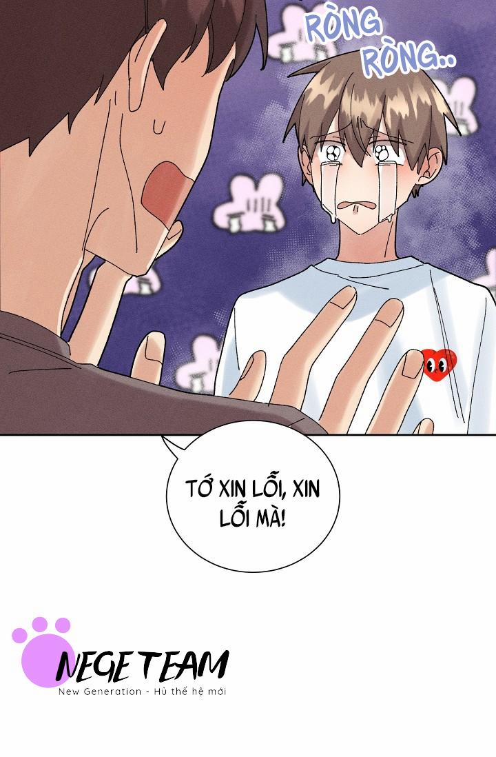 BỘ NHỚ GIẢ DƯỢC 15 trang 61