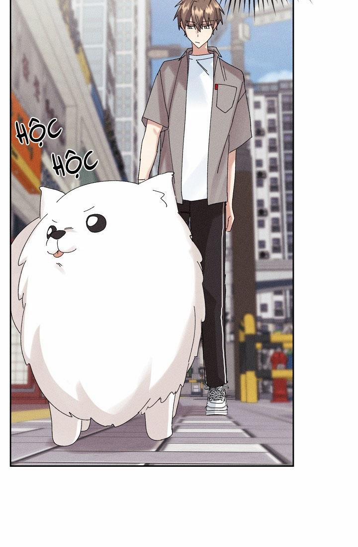 BỘ NHỚ GIẢ DƯỢC 17 trang 56