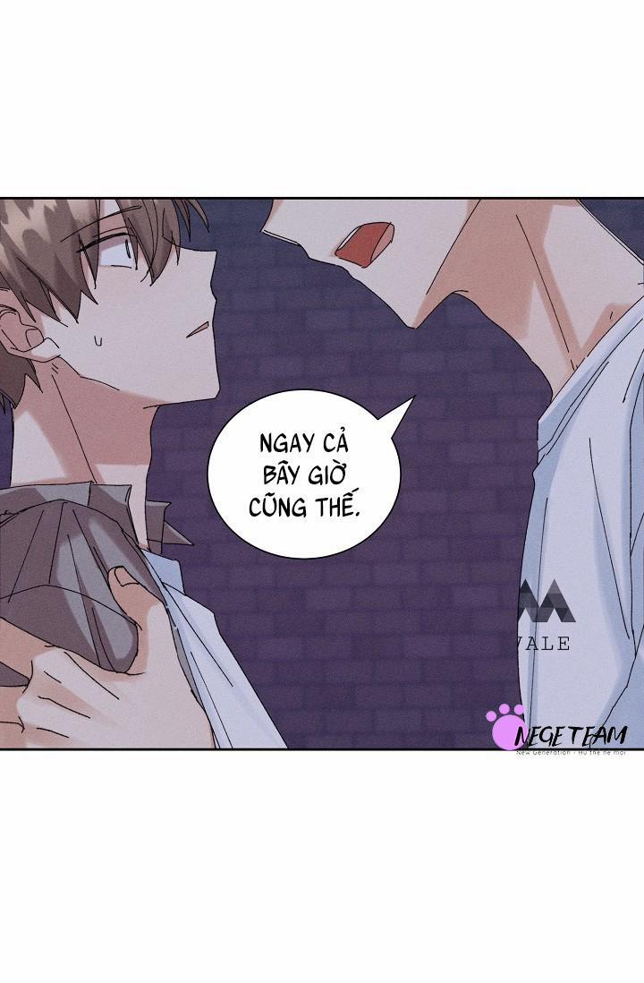 BỘ NHỚ GIẢ DƯỢC 19 trang 1