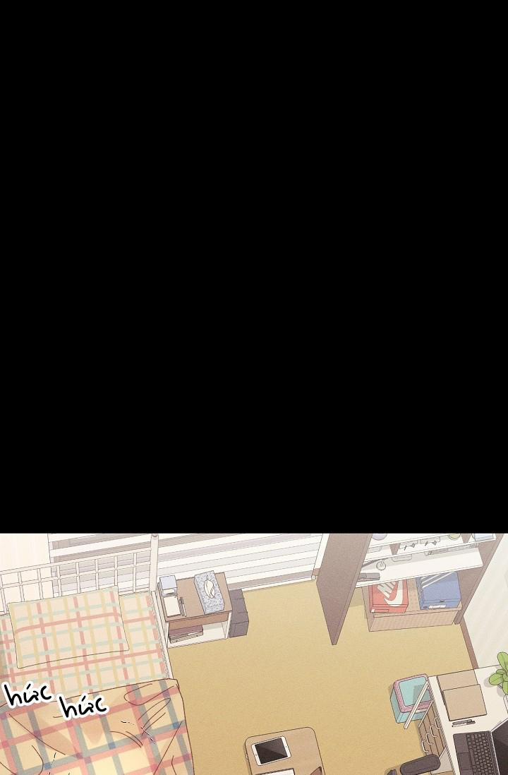 BỘ NHỚ GIẢ DƯỢC 19 trang 27