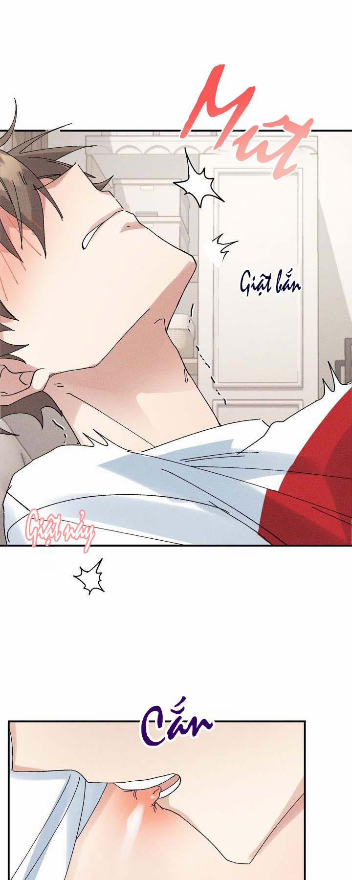 BỘ NHỚ GIẢ DƯỢC 2 trang 32