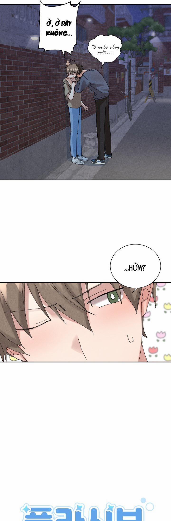 BỘ NHỚ GIẢ DƯỢC 24 trang 10