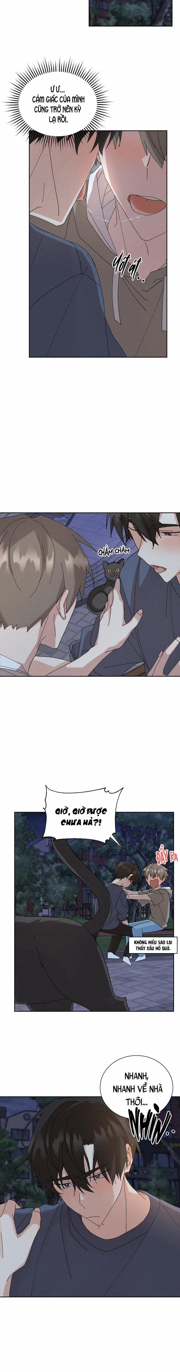 BỘ NHỚ GIẢ DƯỢC 24 trang 29