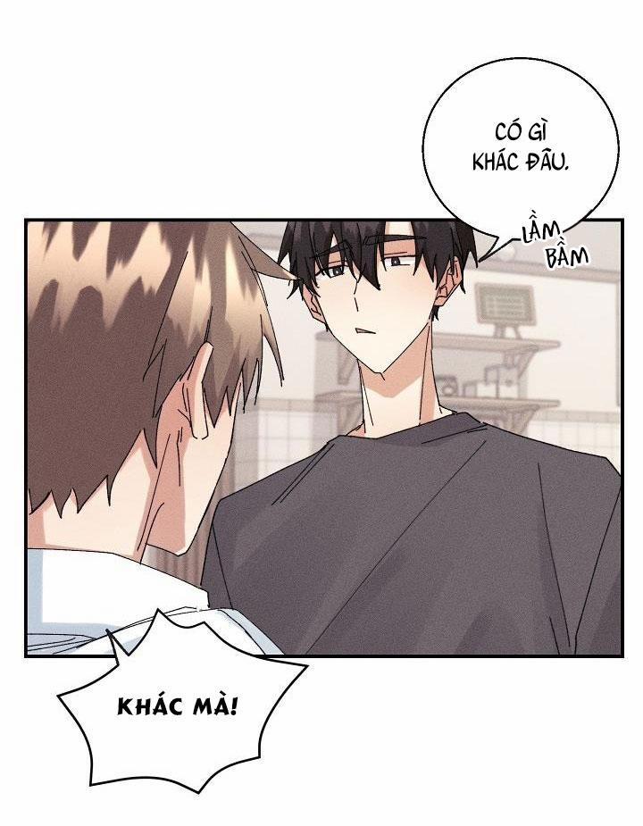 BỘ NHỚ GIẢ DƯỢC 6 trang 14