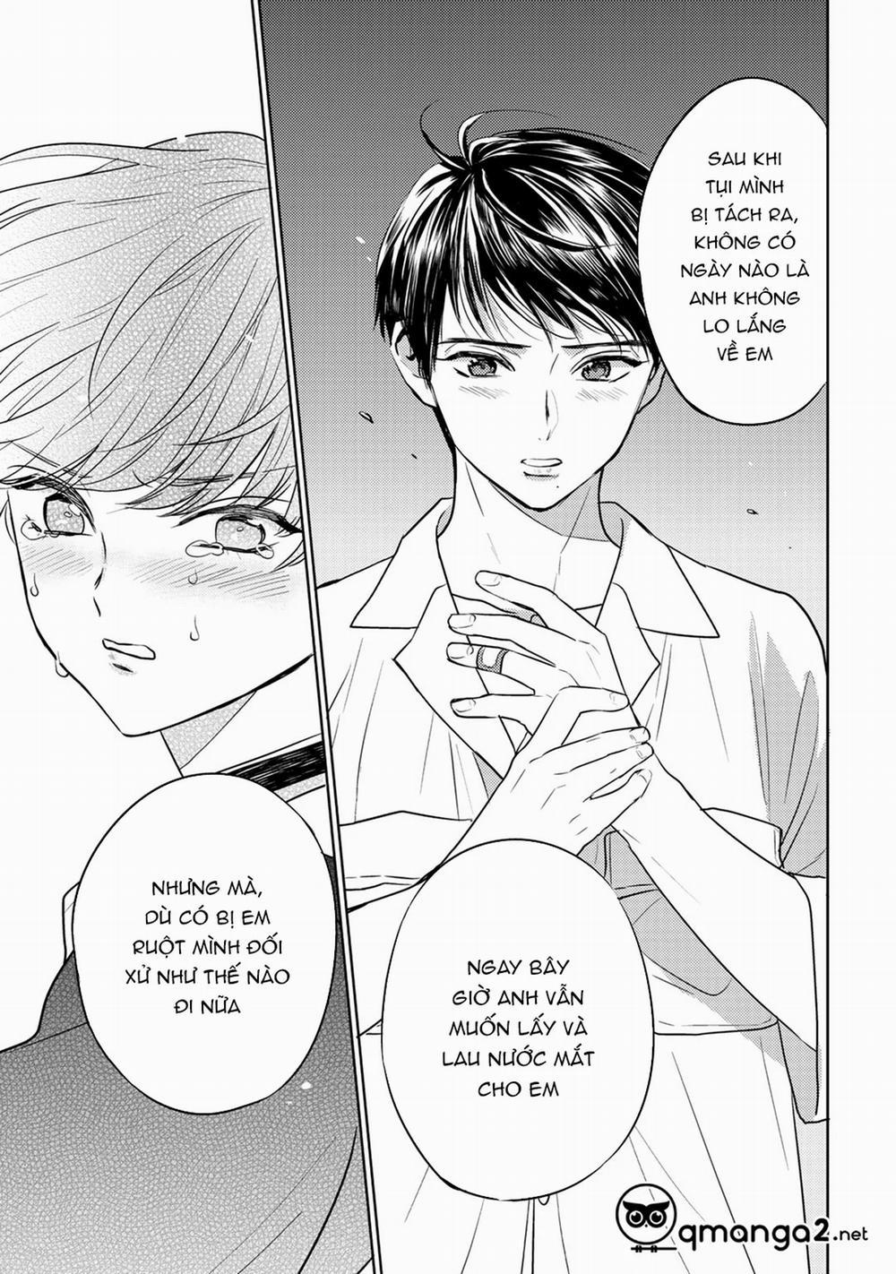 Bọ Rùa Tháng Sáu 11.5 trang 3