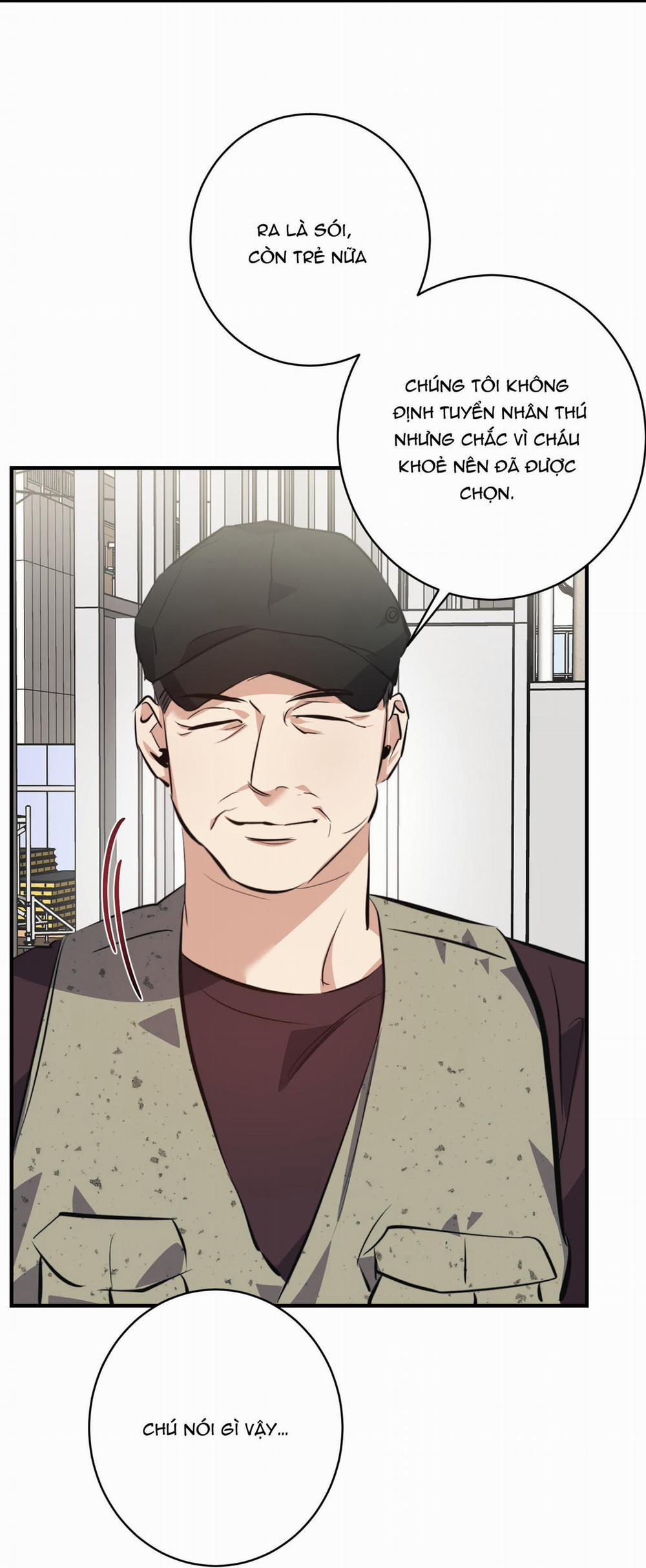 BỘ SƯU TẬP CIU TO-NGỰC BỰ CỦA NHÀ SẸC 20 trang 10