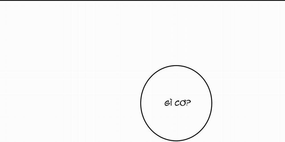 BỘ SƯU TẬP CIU TO-NGỰC BỰ CỦA NHÀ SẸC 20 trang 7