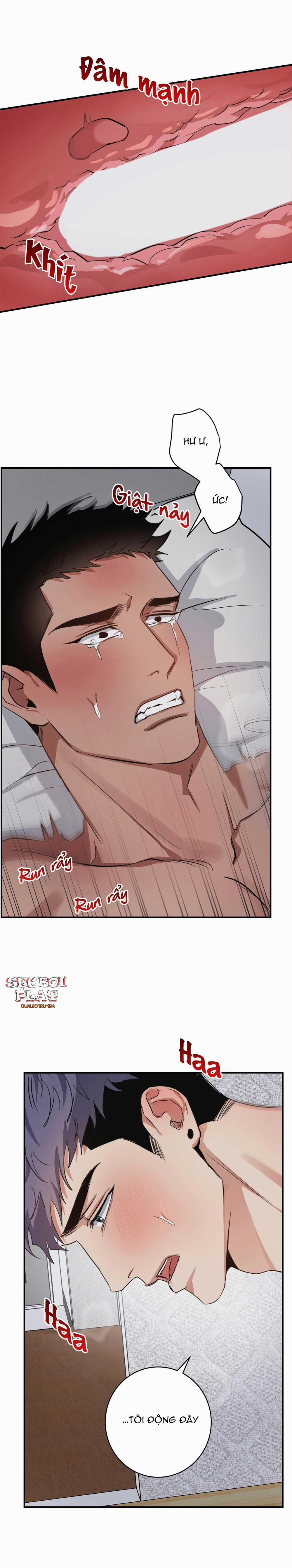 BỘ SƯU TẬP CIU TO-NGỰC BỰ CỦA NHÀ SẸC 22 trang 1