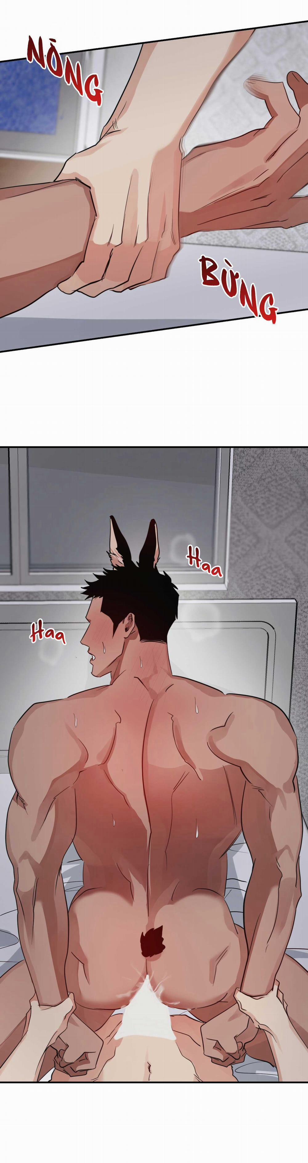 BỘ SƯU TẬP CIU TO-NGỰC BỰ CỦA NHÀ SẸC 22 trang 11