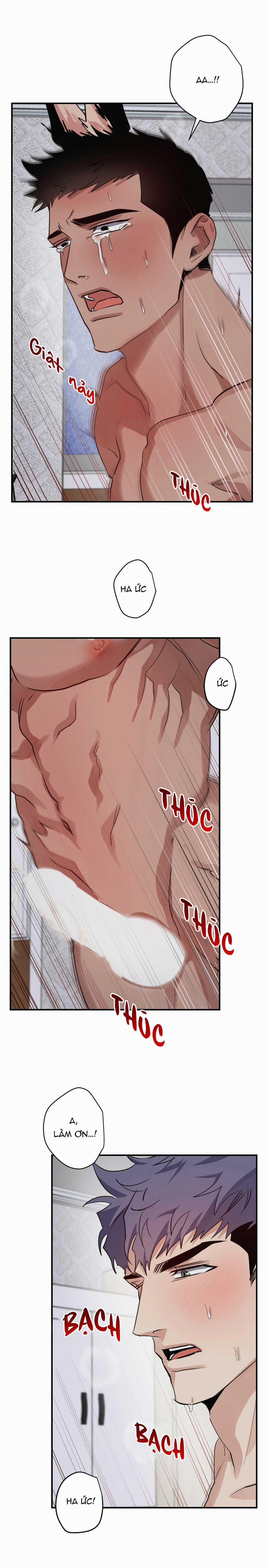 BỘ SƯU TẬP CIU TO-NGỰC BỰ CỦA NHÀ SẸC 22 trang 15